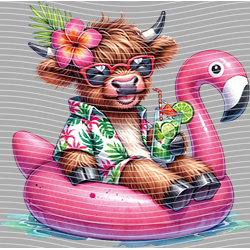 Cow-NIU 2420